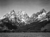 Ansel Adams - Grassy valley and snow covered peaks, Grand Teton National Park, Wyoming, 1941
