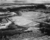 Ansel Adams - Corn Field, Indian Farm near Tuba City, Arizona, in Rain, 1941
