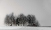 Gilbert Claes - Winter Forest