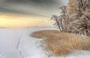 Keijo Savolainen - Misty Winter Morning