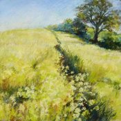 Nel Whatmore - Fields of Gold