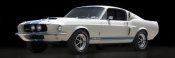 Gasoline Images - Shelby GT500