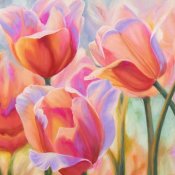 Cynthia Ann - Tulips in Wonderland II