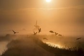Harm Klaverdijk - Sunrise Flight