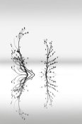 George Digalakis - Trees With Birds (2)