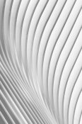 Christopher Budny - Calatrava Lines