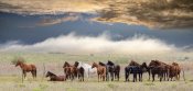 Chechi Peinado - Horses