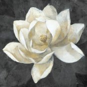 Albena Hristova - Majestic Magnolia Neutral Sq