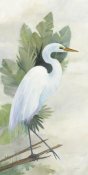 Avery Tillmon - Standing Egret I Crop