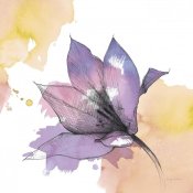 Avery Tillmon - Watercolor Graphite Flower IX