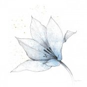 Avery Tillmon - Blue Graphite Flower IX