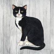 David Carter Brown - Country Kitty I on Wood