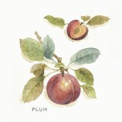 Lisa Audit - Orchard Bloom IV