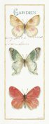 Lisa Audit - Rainbow Seeds Butterflies II