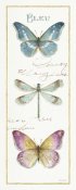 Lisa Audit - Rainbow Seeds Butterflies I