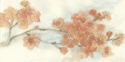 Chris Paschke - Peach Blossom I