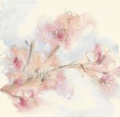 Chris Paschke - Pink Blossoms II