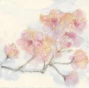 Chris Paschke - Pink Blossoms III