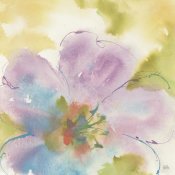 Chris Paschke - Flower Tints II