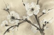 Chris Paschke - Spring Blossoms III