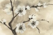Chris Paschke - Spring Blossoms IV