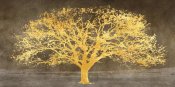 Alessio Aprile - Shimmering Tree Ash