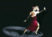Richard Young - The Rhythm of Tango