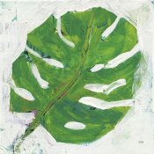 Kellie Day - Single Leaf Play on White