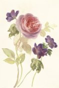 Danhui Nai - Watercolor Flowers IV