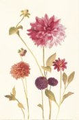 Danhui Nai - Watercolor Flowers V