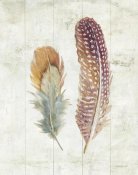 Danhui Nai - Natural Flora XI Bold Feathers