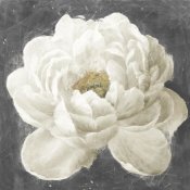 Danhui Nai - Vivid Floral I White Flower