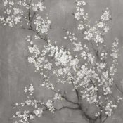 Danhui Nai - White Cherry Blossoms II on Grey Crop