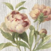 Danhui Nai - Scented Cottage Florals I Crop