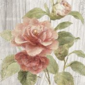 Danhui Nai - Scented Cottage Florals III Crop