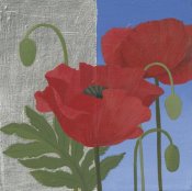 Kathrine Lovell - More Poppies