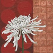 Kathrine Lovell - Morning Chrysanthemum II