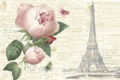 Katie Pertiet - Roses in Paris II