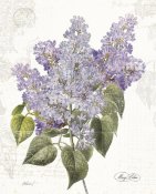 Katie Pertiet - May Lilac on White