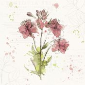 Katie Pertiet - Floral Splash V