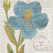 Katie Pertiet - Bookshelf Botanical VI