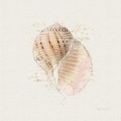 Katie Pertiet - Shell Collector V