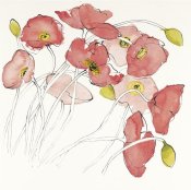 Shirley Novak - Black Line Poppies II Watercolor