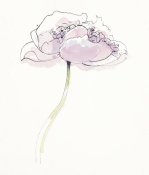 Shirley Novak - Single Pink Somniferums II on White