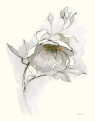 Shirley Novak - Carols Roses V Off White