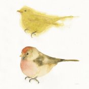 Shirley Novak - Watercolor Birds I Sq