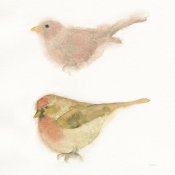 Shirley Novak - Watercolor Birds II Sq
