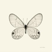 Debra Van Swearingen - Butterfly I - BW