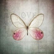 Debra Van Swearingen - French Butterfly I