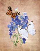 Debra Van Swearingen - Butterfly Botanical III